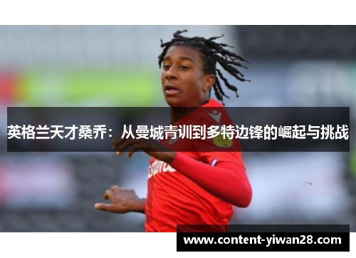 英格兰天才桑乔：从曼城青训到多特边锋的崛起与挑战